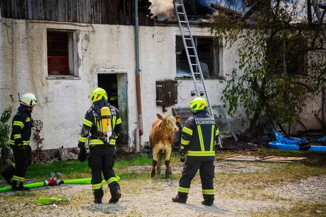 Foto: Daniel Scharinger