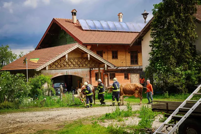Foto: Daniel Scharinger