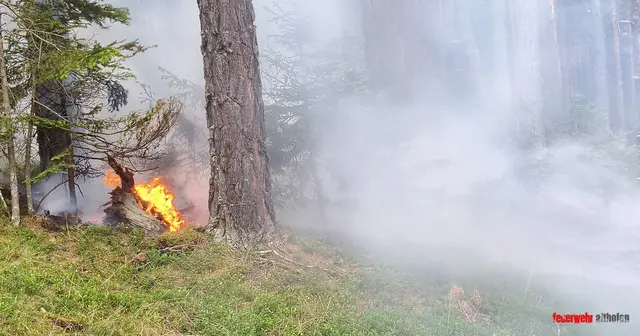Ein Blitzschlag habe einen beginnenden Waldbrand im Bereich des Pleschutzkogel verursacht.  | Foto: Feuerwehr Althofen