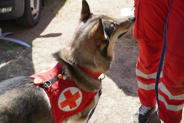 Foto: Jennifer Flechl / MeinBezirk