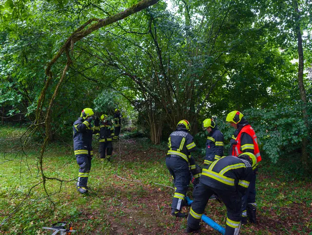 In Schwertberg drohte ein Baum auf ein Haus zu stürzen. | Foto: Feuerwehr Schwertberg