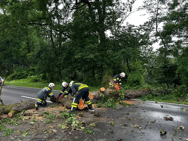 Zeillern | Foto: Bezirksfeuerwehrkommando Amstetten