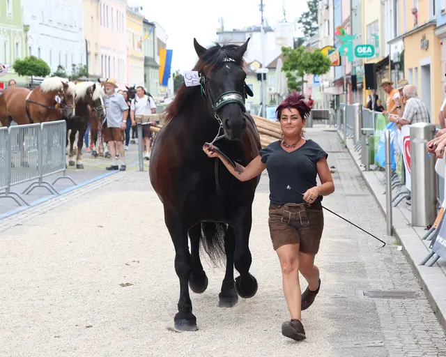 Foto: Helmut Klein