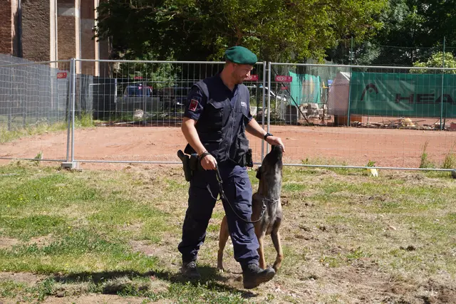 Die Hundestaffel lockte mit ihren Vorführungen zahlreiche Neugierige an. | Foto: Jennifer Flechl / MeinBezirk