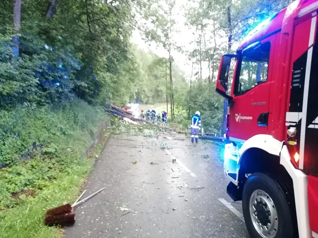 Gewitterartige Sturmereignisse hatten an beiden Tagen insgesamt 118 Einsätze von 48 Feuerwehren zur Folge. | Foto: FF Diersbach