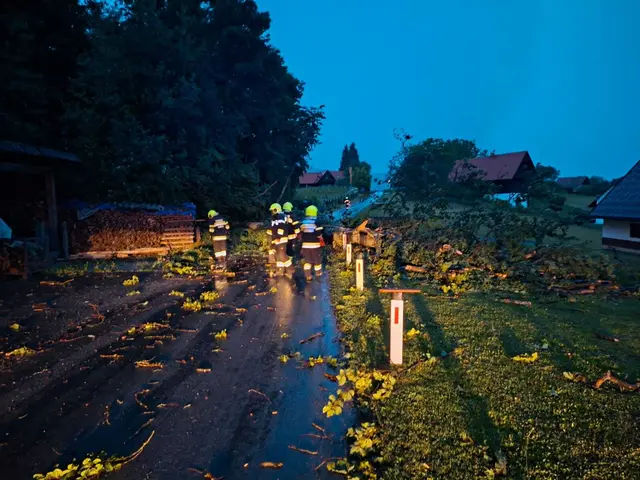 Foto: FF Wildbach