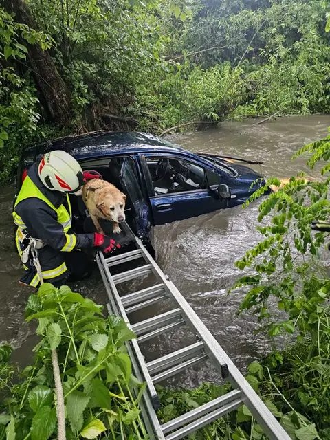 Feuerwehr Kemeten rettete Hund aus einem Auto im Strembach