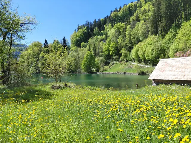 KLICK HIER UND BEGLEITE MICH AUF MEINER TRAUMHAFTEN WANDERUNG | Foto: H.Bachinger