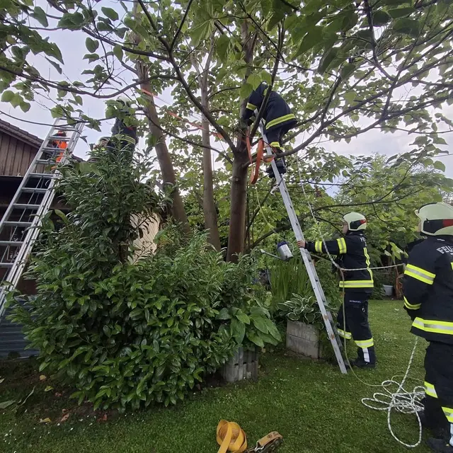 Ein Baum hatte sich in Zirking, Gemeinde Ried in der Riedmark, auf ein Haus "gelehnt". | Foto: Freiwillige Feuerwehr Zirking/Facebook