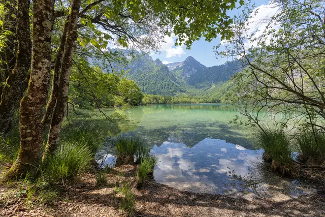 Heute am Offensee. Sehr empfehlenswertes Ausflugsziel. | Foto: Thomas Berwein