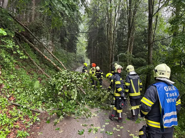 Waidhofen- Wirts | Foto: FFWirts