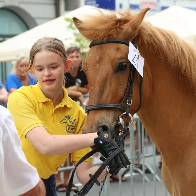 Foto: Helmut Klein