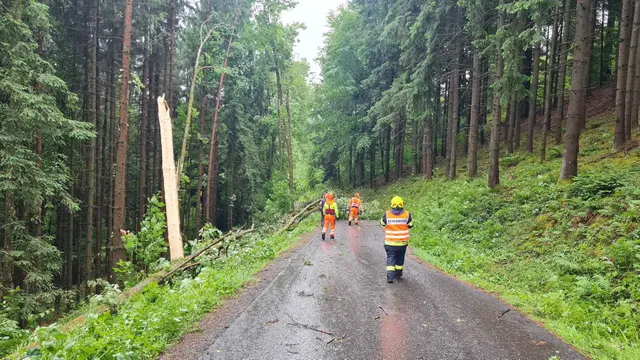 Foto: FF Vollmannsdorf
