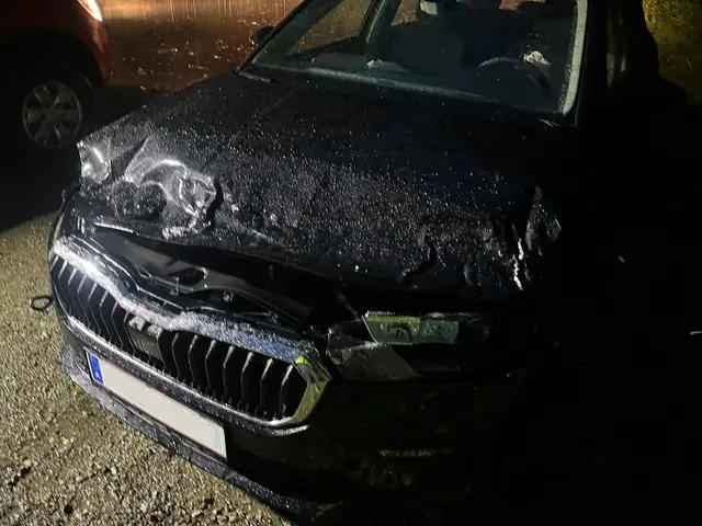 Ein Baum war auf ein Auto gestürzt.  | Foto: FF Rassach