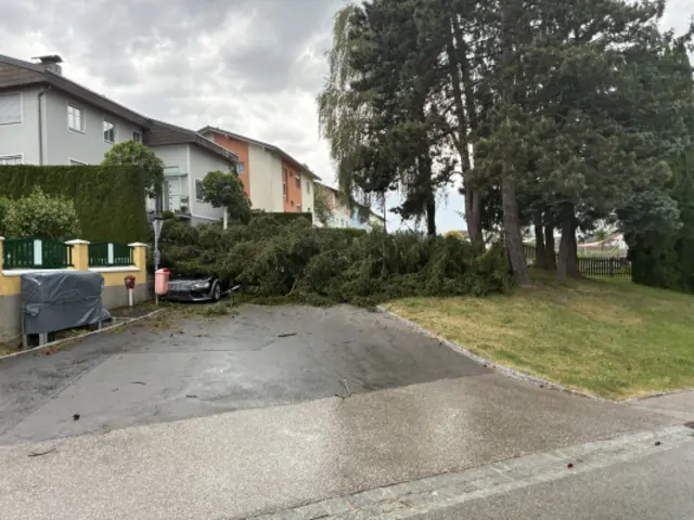 Auch ein Auto wurde von einem umgestürzten Baum erwischt. | Foto: FF Peterskirchen