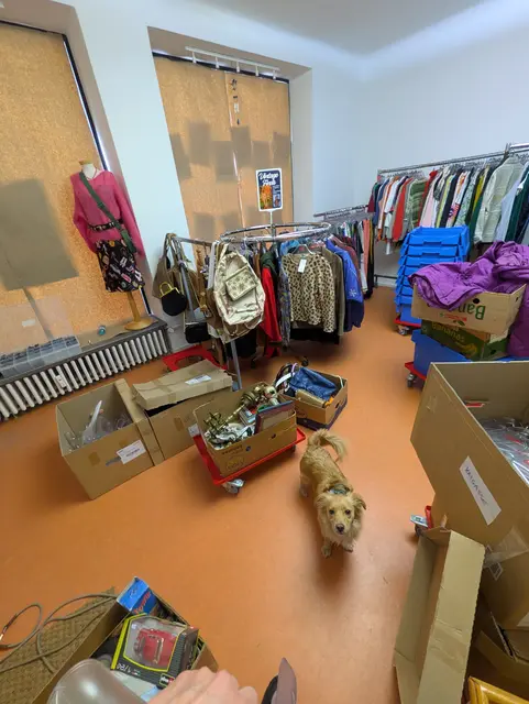 Dieses Bild entstand kurz vor der Eröffnung des neuen Carla-Shops im Kaiviertel.  | Foto: Caritas Salzburg
