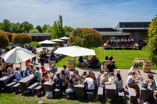 Foto: Weingut Hannes Reeh