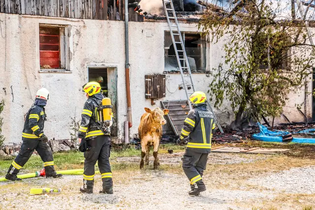 Foto: Daniel Scharinger