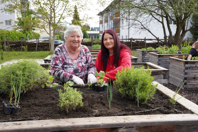 Dani Lautischer (rechts) geht mit Rosemarie Schwaiger regelmäßig zum Hochbeet der Caritas im Grünen Eck Perau.
 | Foto: meinbezirk.at/Birgit Gehrke 