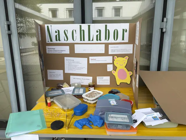 Drachenzungen, Gummibären, Lakritze und mehr haben die Schüler selbst hergestellt. | Foto: MeinBezirk Salzburg