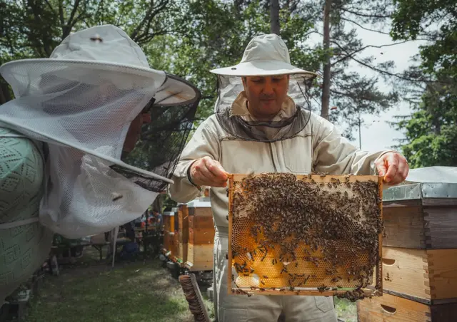 Foto: Matthias Zwierzina
