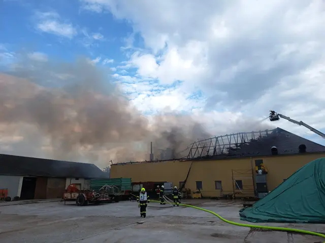 Foto: Bfkdo Amstetten / FF Wallsee