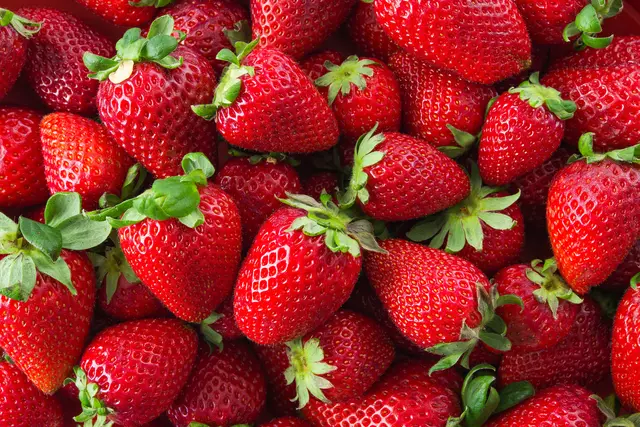 Ob frisch verzehrt oder in der Küche verarbeitet: Die Erdbeeren sind jede Sünde wert | Foto: silrobyx_smarterpix