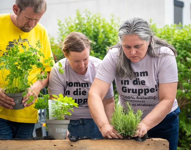 Bei der Lebenshilfe in Kufstein wurde bereits ein neues Beet bepflanzt. | Foto: Land Tirol/Hörmann