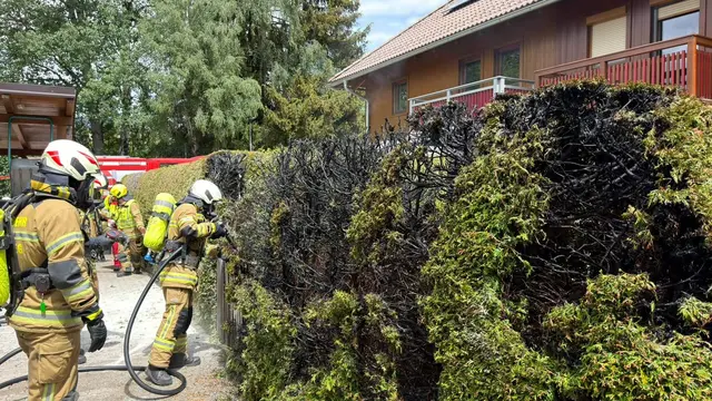 Ersthelfer hielten Heckenbrand in Schach, Feuerwehr eilte zu Hilfe