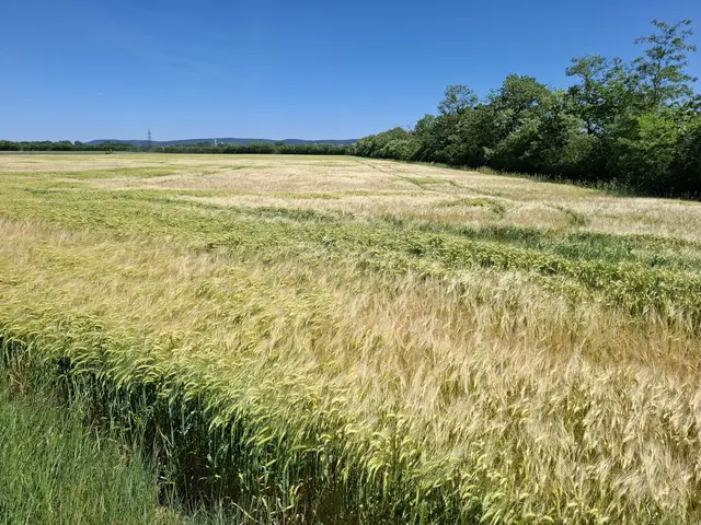 Wenn die Quellen langsam versiegen