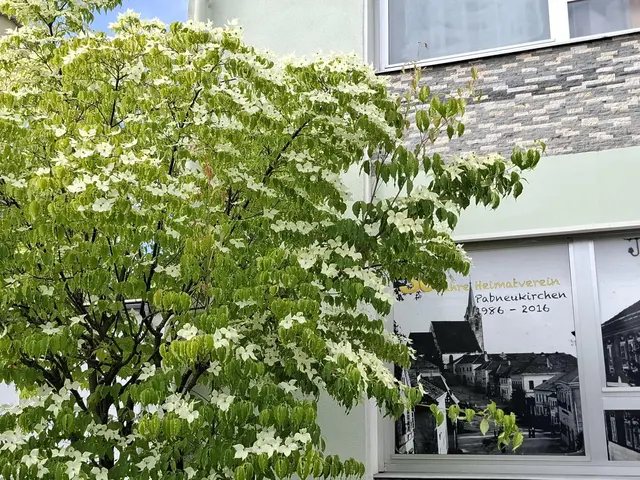 Pabneukirchen | Foto: Heimatverein