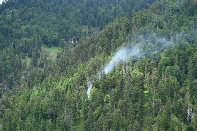 Foto: ZOOM-Tirol/Feuerwehr Waidring