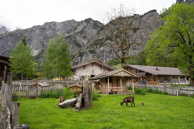 Glasfaseranschluss für die Gramaialm im Karwendelgebirge.  | Foto: Mautner/Magenta