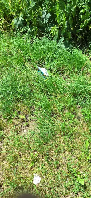 Foto: Glabischnig