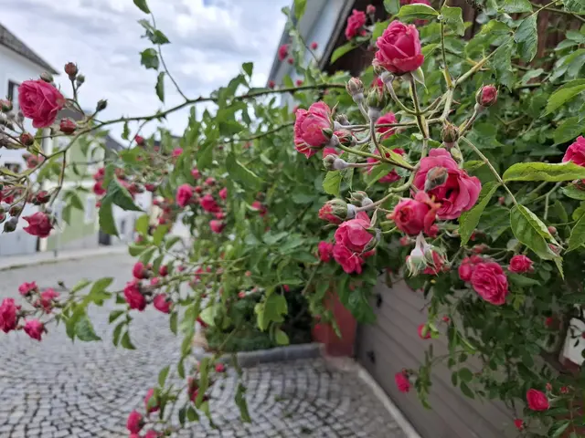 Pabneukirchen | Foto: Heimatverein
