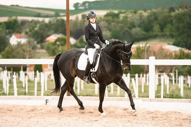 Hannah Altschach mit Sophisticat | Foto: Reitverein Waidhofen/Thaya