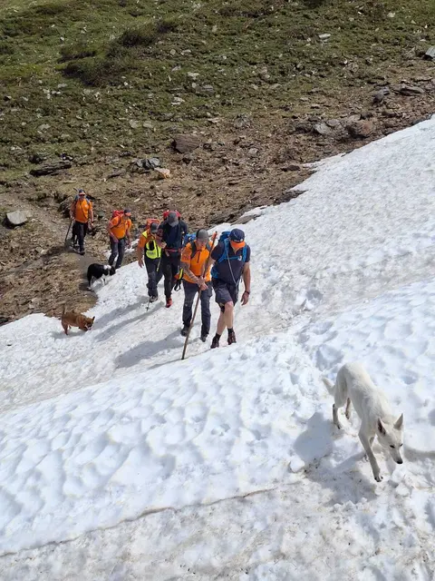 Die jüngsten Hunde und ihre Halterinnen und Halter fokussierten sich auf das ausführen einer verlässlichen Anzeige einer Person. | Foto: Mairhofer, Riedler, Rainer, Klausner, Müller, Aigner, Wörndl und Stemberger