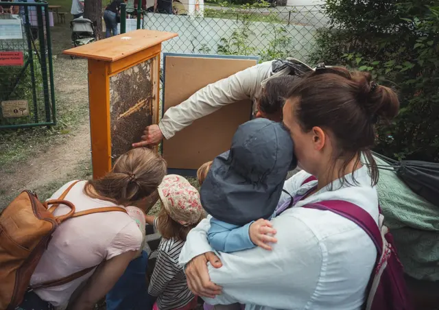 Foto: Matthias Zwierzina