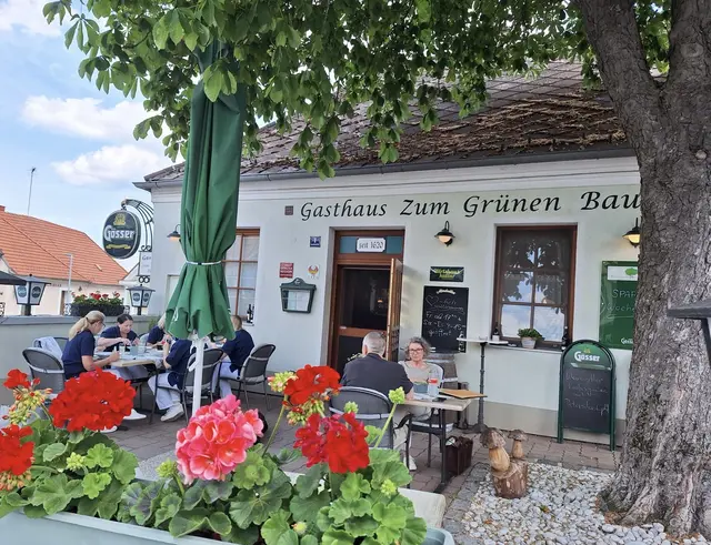 Die Gäste genießen das Essen im Vorgarten unter dem Schatten spendenden Kastanienbaum.  | Foto: Gasthaus Zum Grünen Baum