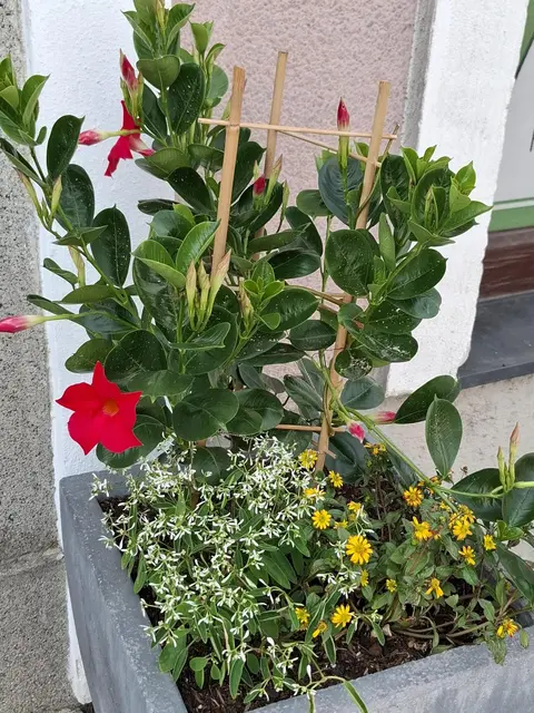 Pabneukirchen | Foto: Heimatverein