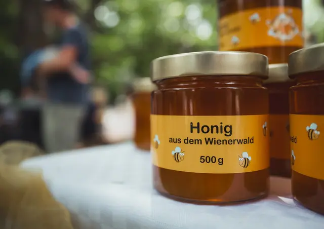 Foto: Matthias Zwierzina