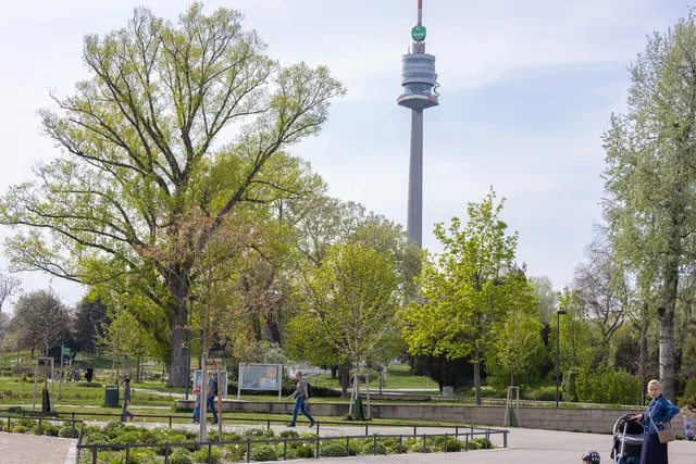 Kürzlich wurde ein fünfjähriges Mädchen bei einem Ausflug im Bereich des Kinderspielplatzes von einem Unbekannten angesprochen, als sie mit einer Kindergruppe Verstecken spielte. (Archiv) | Foto: René Brunhölzl/MeinBezirk