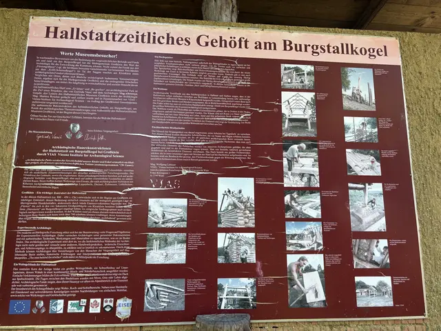 Foto: MeinBezirk/Waltraud Fischer