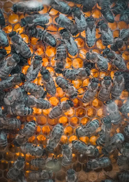 Foto: Matthias Zwierzina