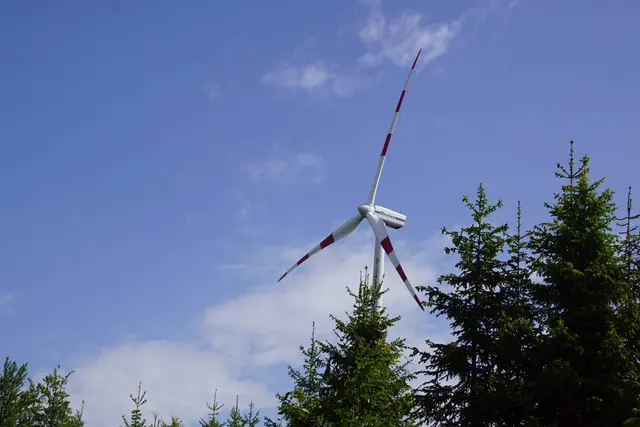 Exkursion in den Windpark Sternwald.  | Foto: Helmut Eder