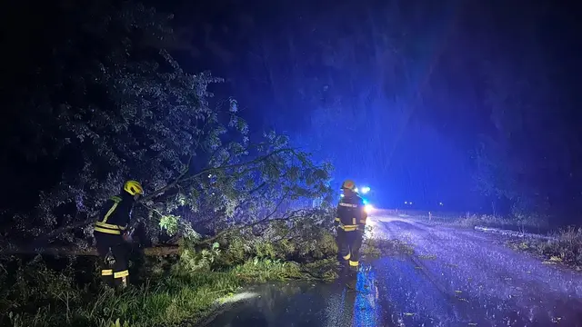 Gewitter fällte Baum auf Straße, Feuerwehr Ernsthofen aktiv