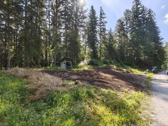 Auf einer rund 200 Quadratmeter großen Fläche im Bereich des beliebten Rundwanderweges im Neuberger Ortsteil Krampen wurde kürzlich eine Blühfläche angesetzt. | Foto: Gröbl