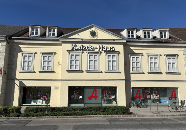 Wie ein alter Handelsplatz zur wichtigen Donau-Stadt wurde