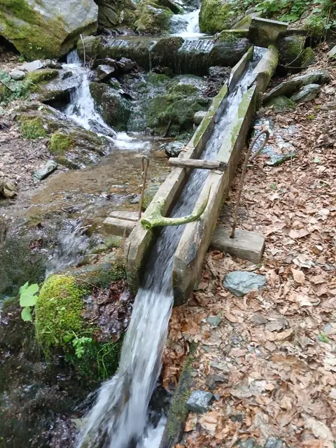 Foto: Gemeinde Albeck