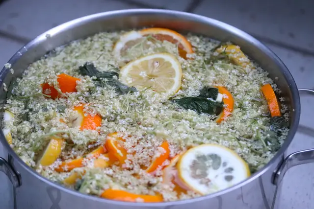 .....heuer habe ich etwas Zitronenmelisse dazu gegeben.
Das einfache Rezept habe ich aus dem Internet:
ca. 40 Stück Holunderblüten
2 L Wasser
4 St. Bio-Zitronen oder Orangen , 50g Zitronensäure
3 kg Zucker.... wg. der Haltbarkeit.
Hab den letzten grad noch vom Vorjahr getrunken.
